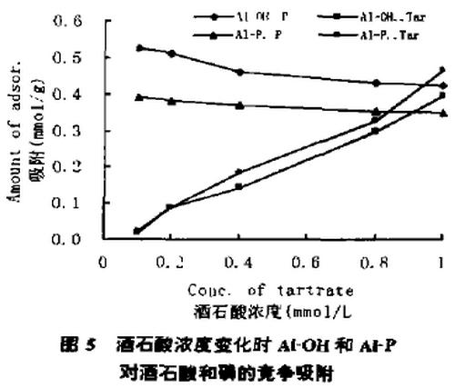 图5 酒石酸浓度变化时氢氧化铝和Al-P对酒石酸和磷的竞争吸附