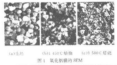 图1 氧化铝膜的SEM