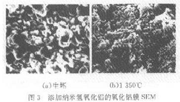 图3 添加纳米氢氧化铝的氧化铝膜SEM
