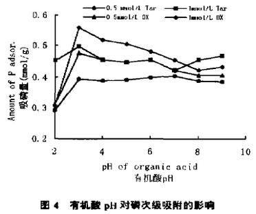 图4 有机酸pH对磷次级吸附的影响