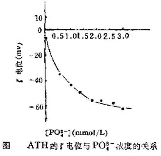 氢氧化铝的电位与PO3-4浓度的关系