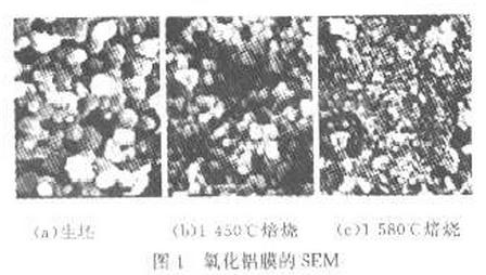 图1 氧化铝膜的SEM
