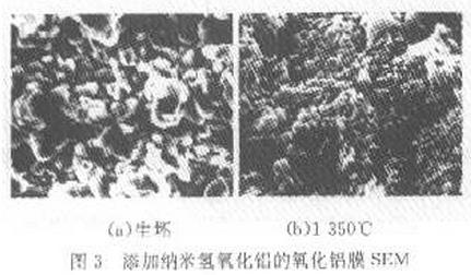 图3 添加纳米氢氧化铝的氧化铝膜SEM