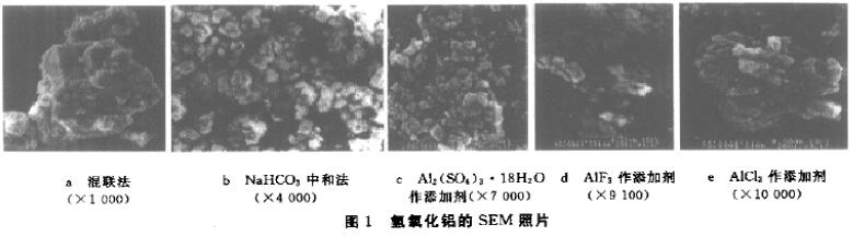 图1 氢氧化铝的SEM照片